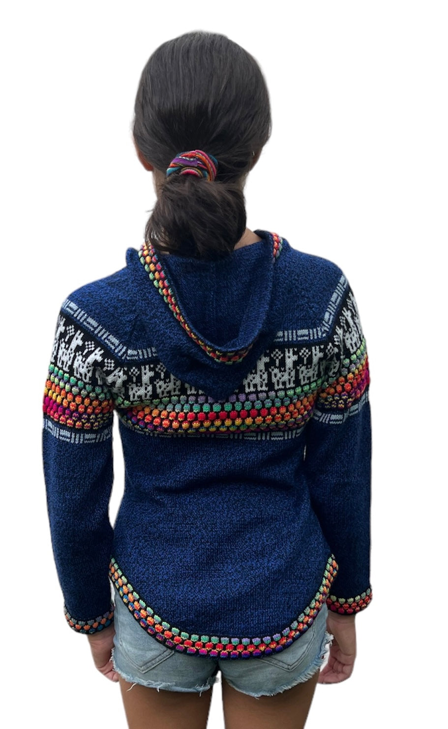 Alpaca Blue rainbow woman sweater
