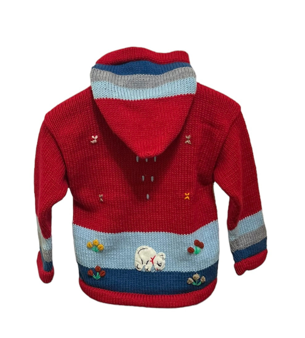 Red children sweater