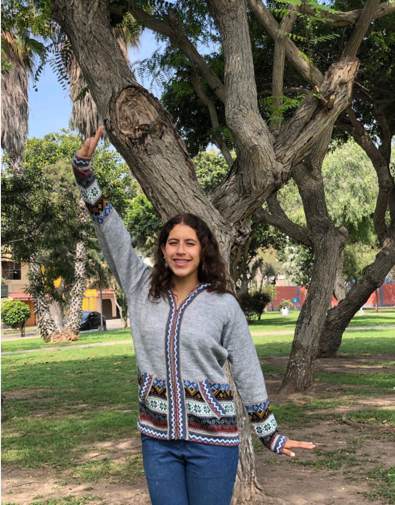 Luxury Gray Alpaca Sweater