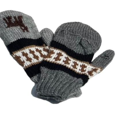 Alpaca Glove/Mittens