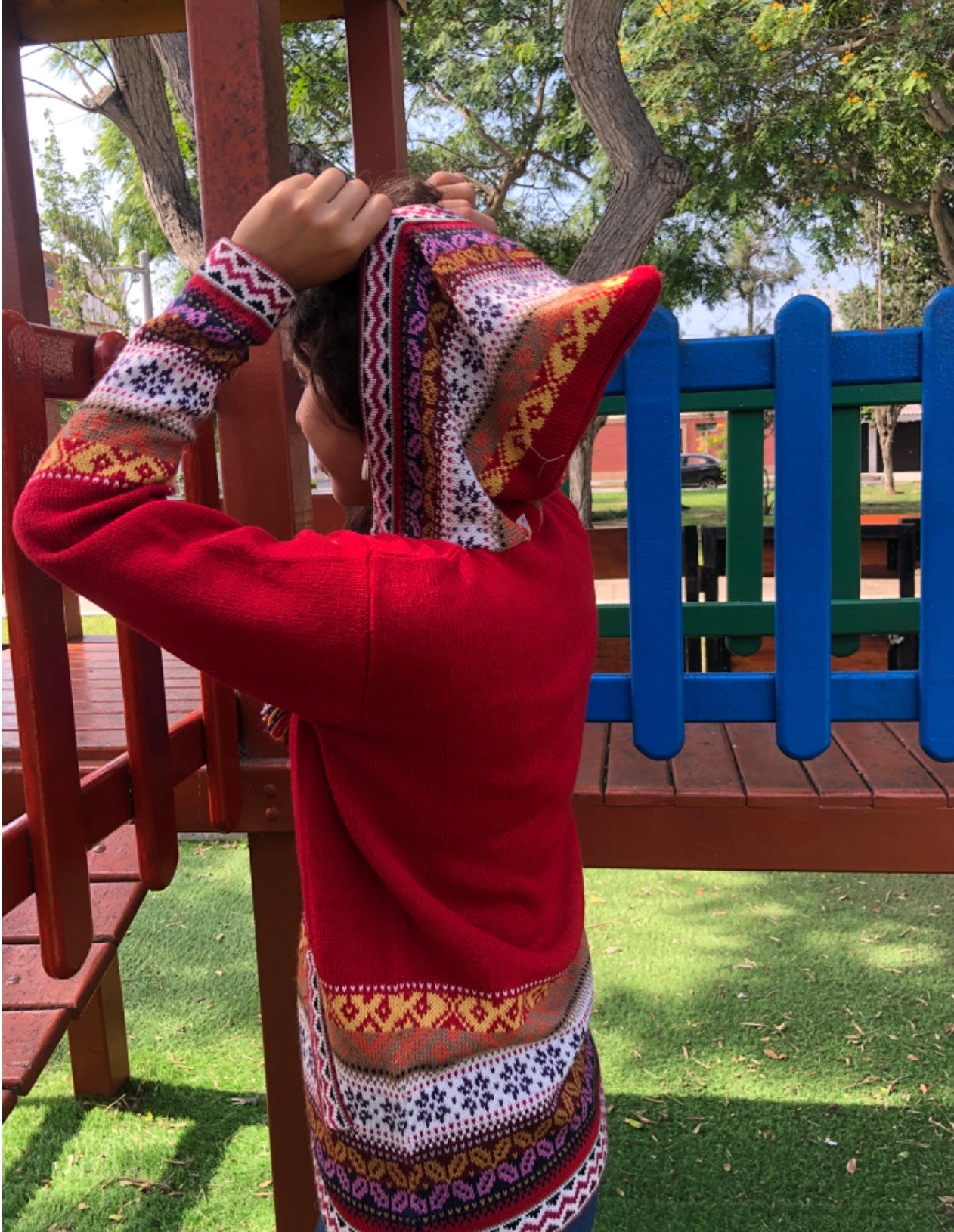 Luxury Red Alpaca Sweater