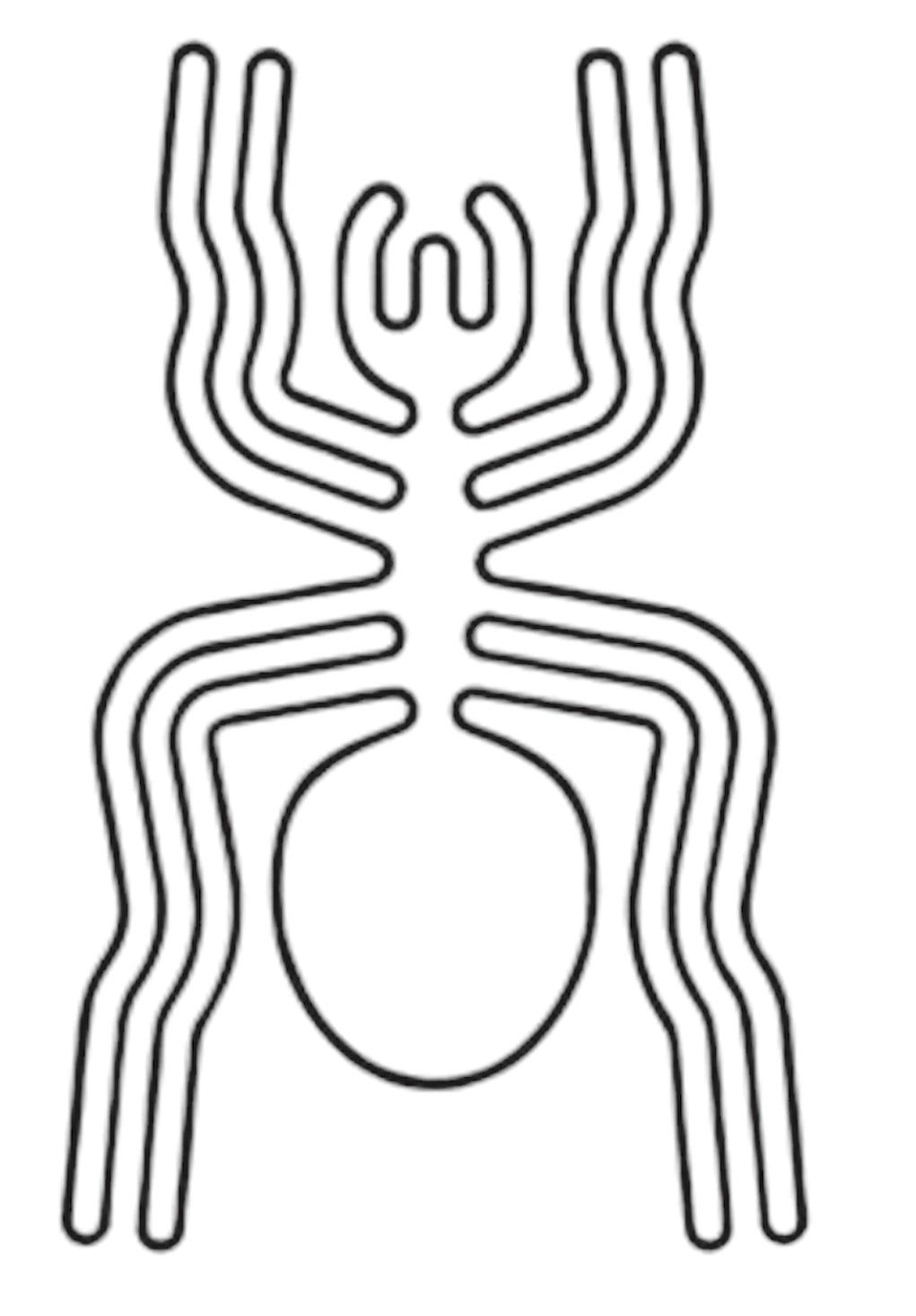 Spider Nazca Lines brooch pin