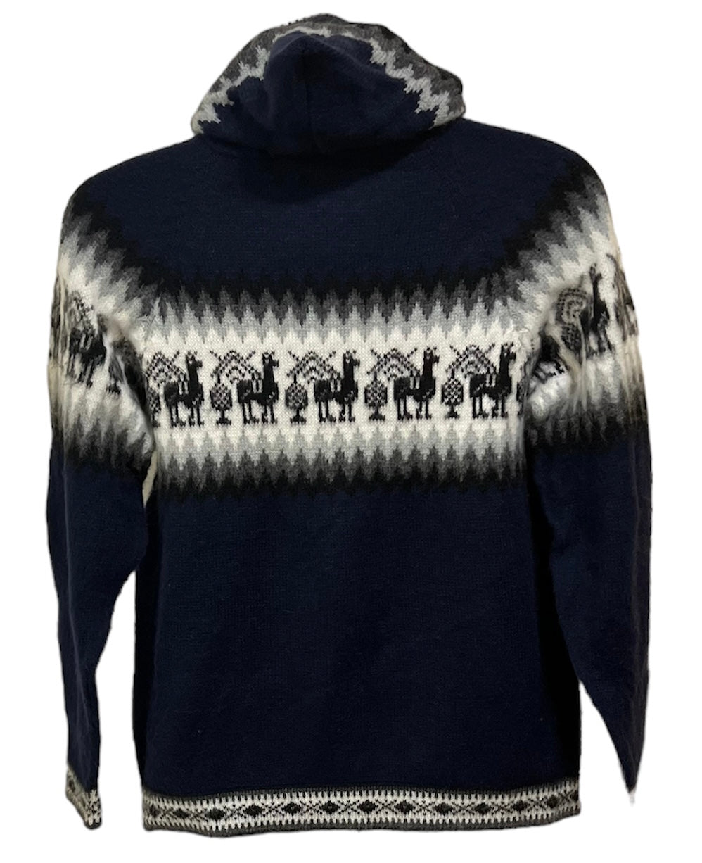 Passaic blue alpaca men sweater