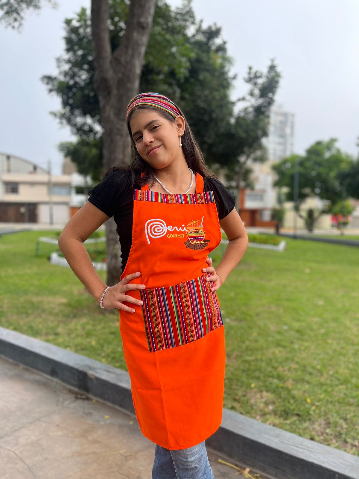 Peruvian Designed Aprons