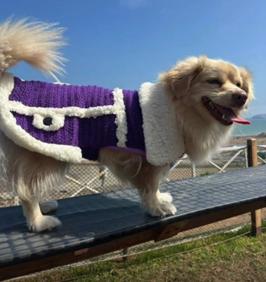 Handmade Alpaca Dog Sweaters Collection Available for purchase