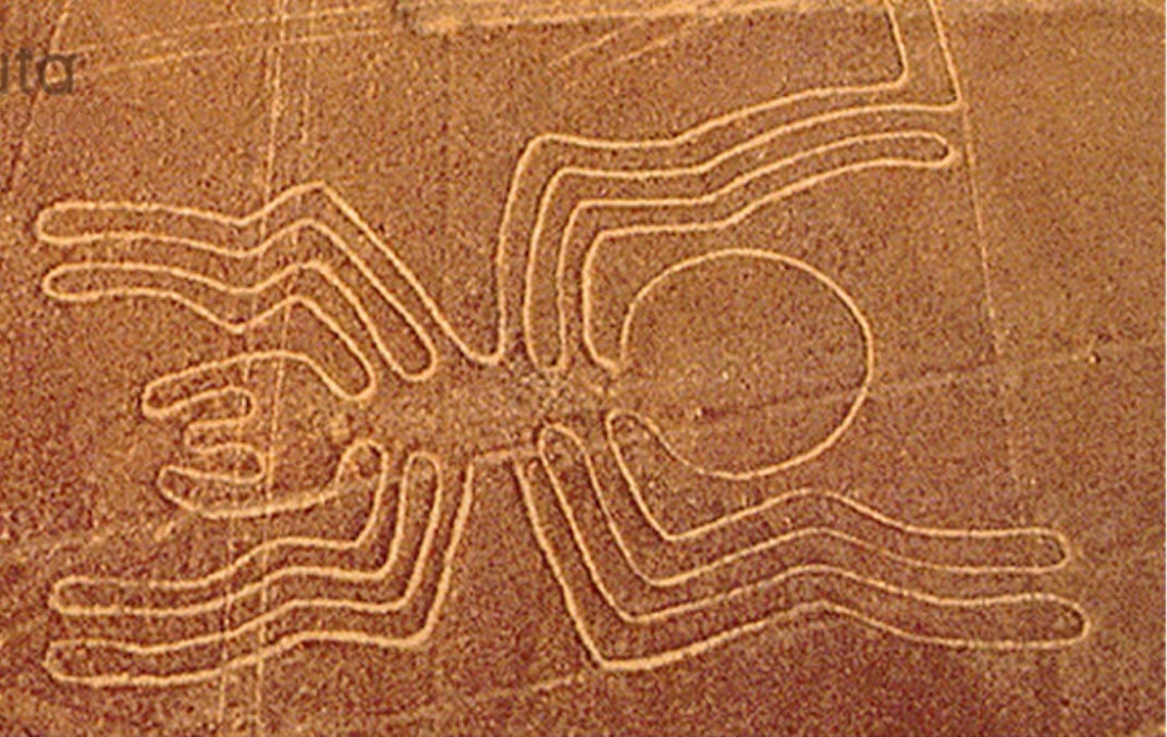 Spider Nazca Lines brooch pin