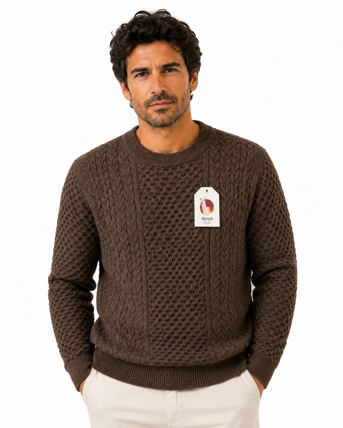 Andes Terra Alpaca Men’s Sweater